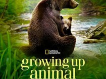 [纪录] 2021纪录片《动物成长》1080p.HD中字