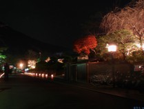 [风景] 2007年嵐山花灯路