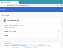 [浏览器] Google Chrome v123.0.6312.59便携增强版