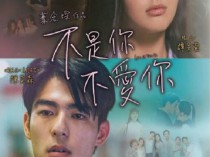 [电影] 2024年中国香港爱情片《不是你不爱你》BD国粤双语中字
