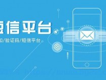 [工具福利] 【合集】国内外短信接码平台